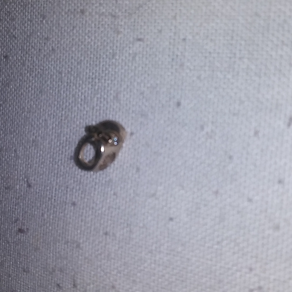 Pandora charm